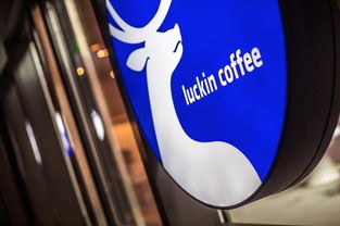 蔚來(lái)汽車(chē)任命新CFO與摩拜單車(chē)調(diào)價(jià) 兩家出行巨頭的戰(zhàn)略調(diào)整